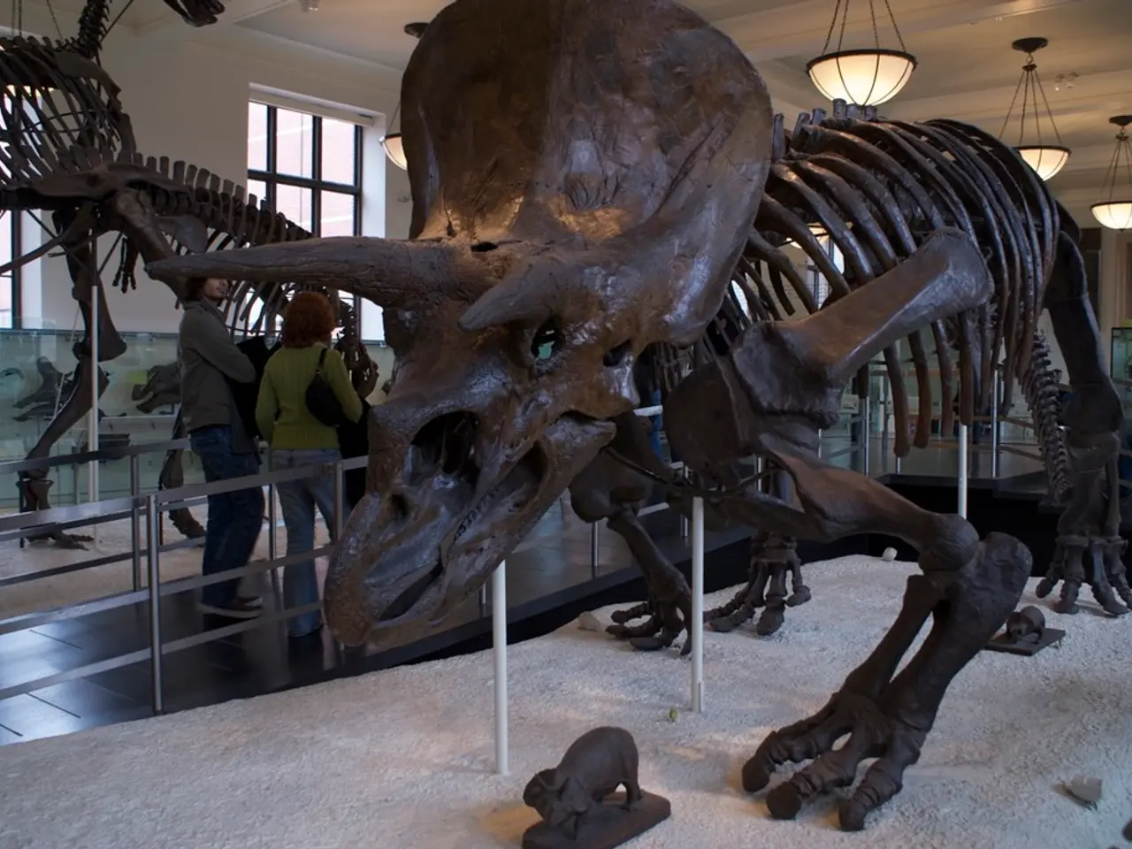 Uncovering Hidden Tales: Delving into the Obscure Past at the Secretive History Exhibit