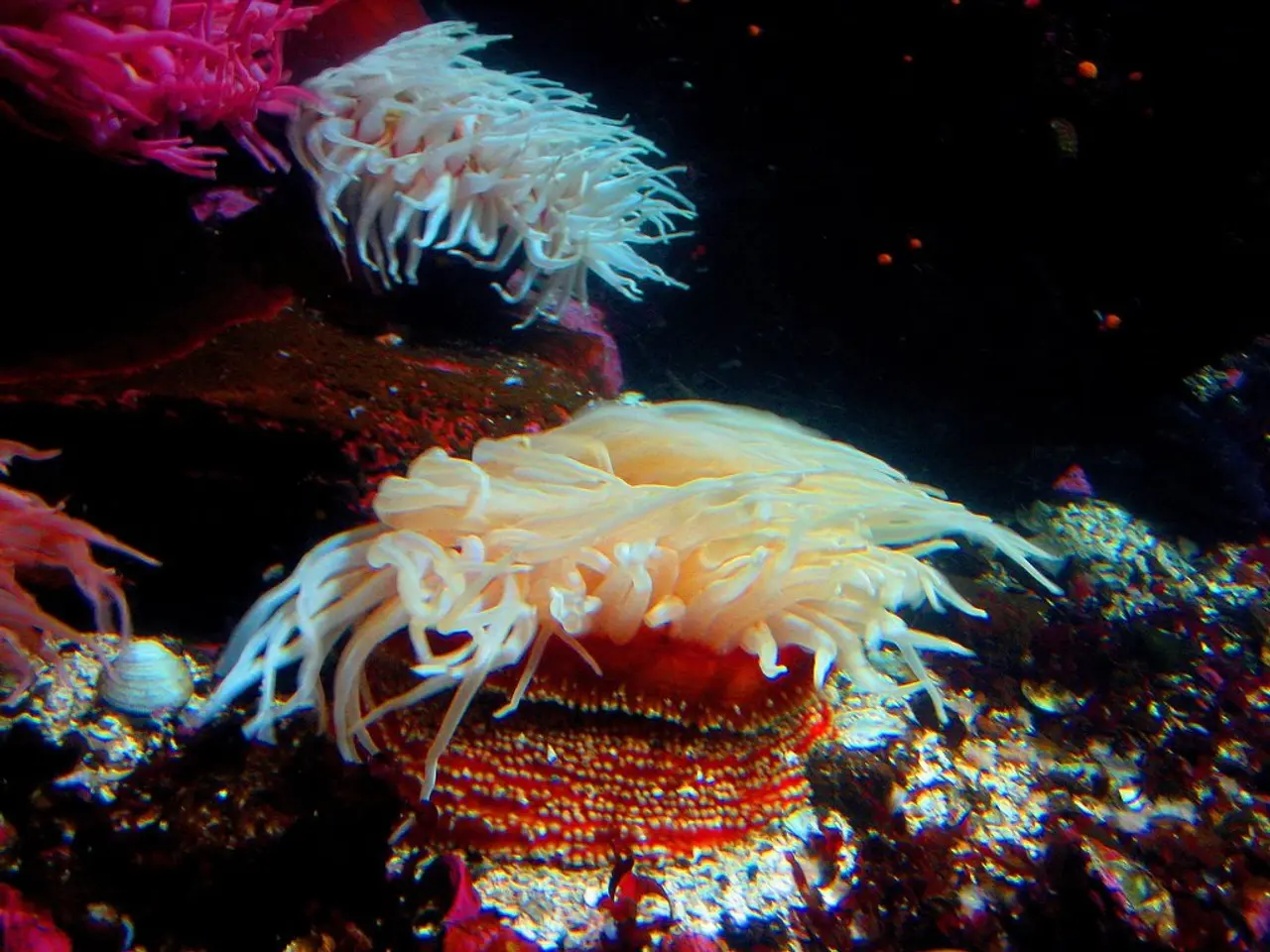 Seizing the Chance for Growth This Summer