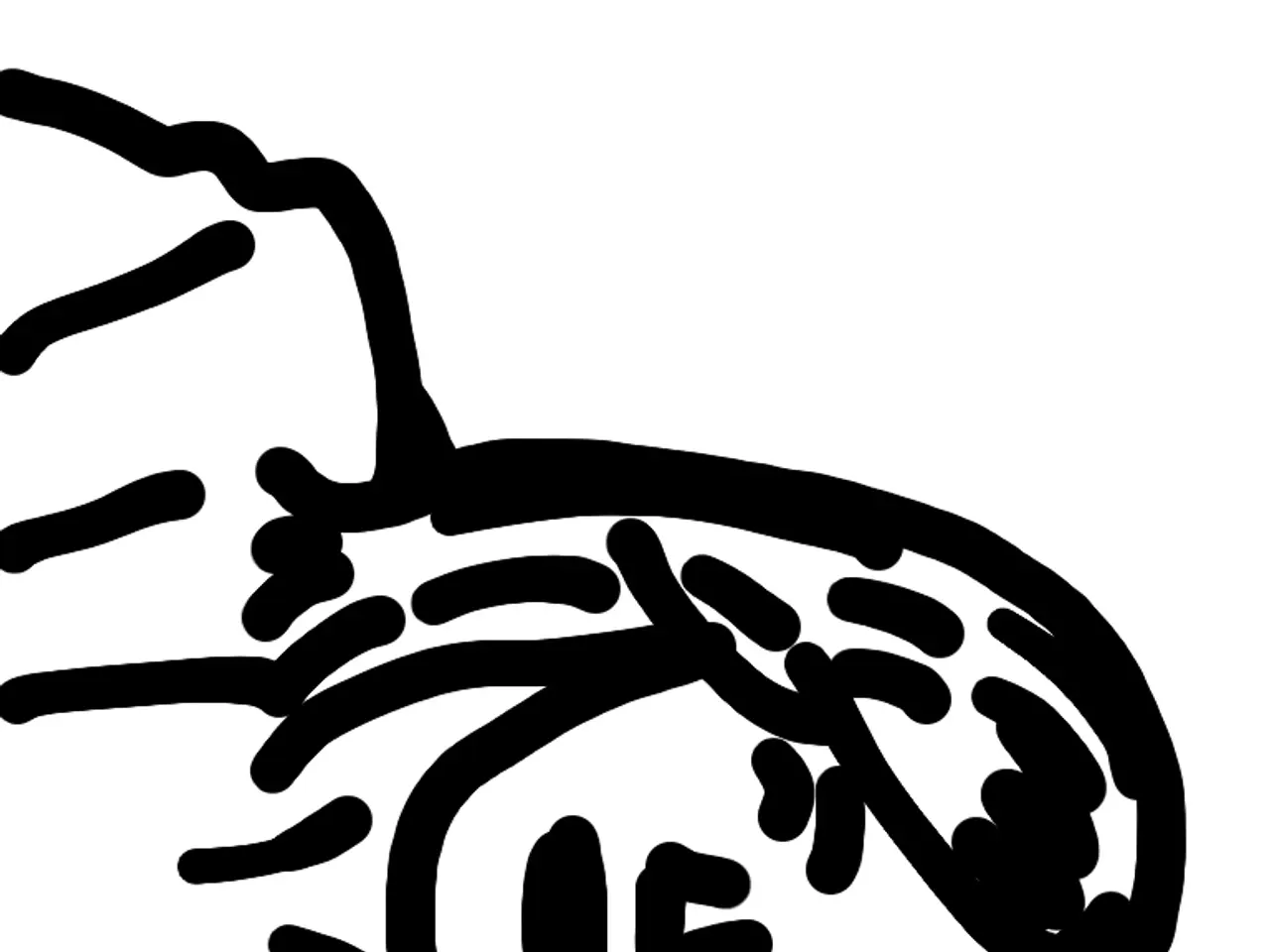 Exploring the Directorial Influence of Jane Campion: Feminist Perspectives and Natural Themes in...