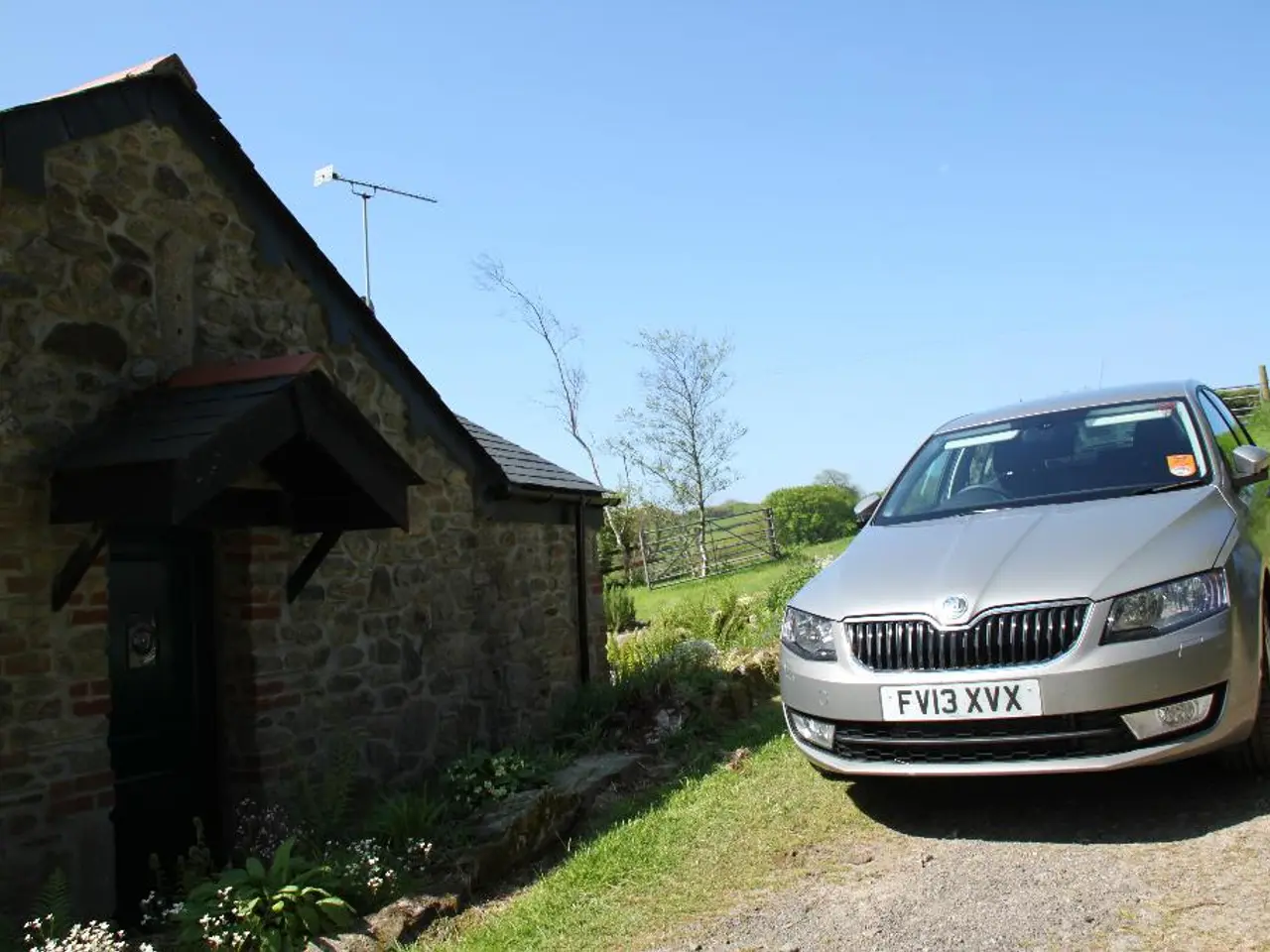 Preserving the Earth's Beauty: The Analysis of Sustainable Living Strategies