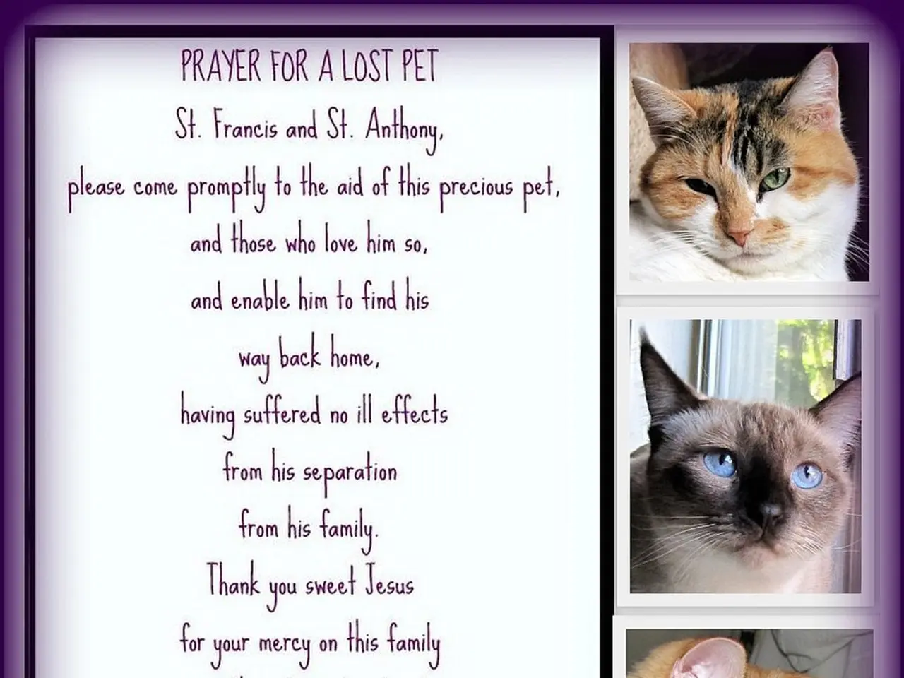 Interpreting the Significance of Nighttime Visions