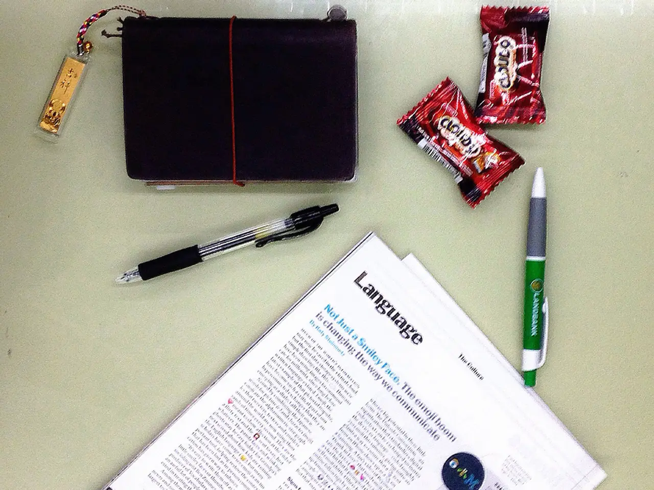 Revised Topics and Inquiries for International Baccalaureate Pupils