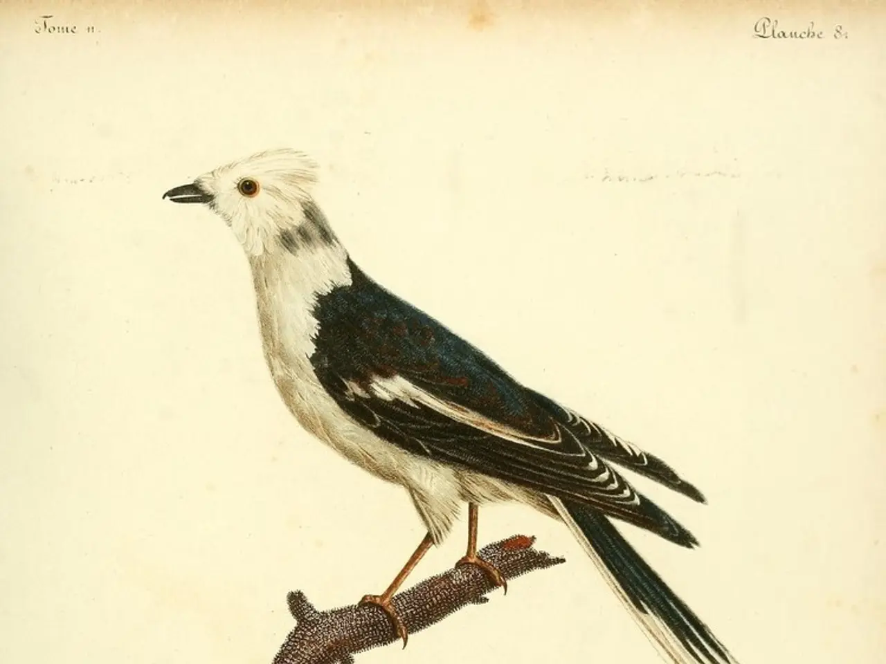 Redefining Work Experience: Bree Groff's Revolutionary Perspective