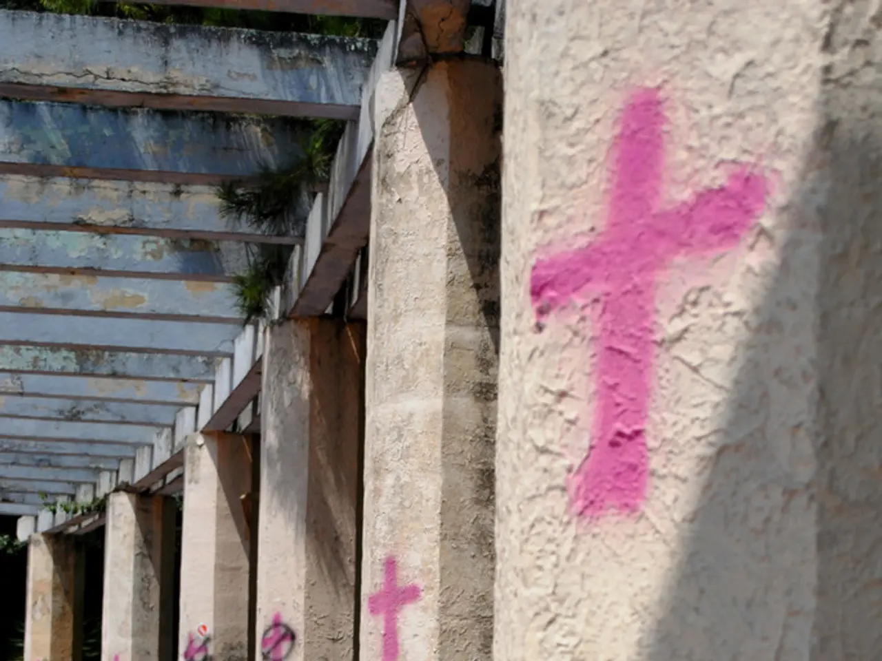 Struggling Economy in Mozambique Leaves Christians Facing Escalating Poverty Rates