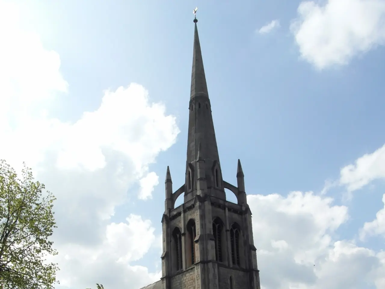 Restoration and safeguarding of Earth's vital lungs called for by Anglican Communion Office