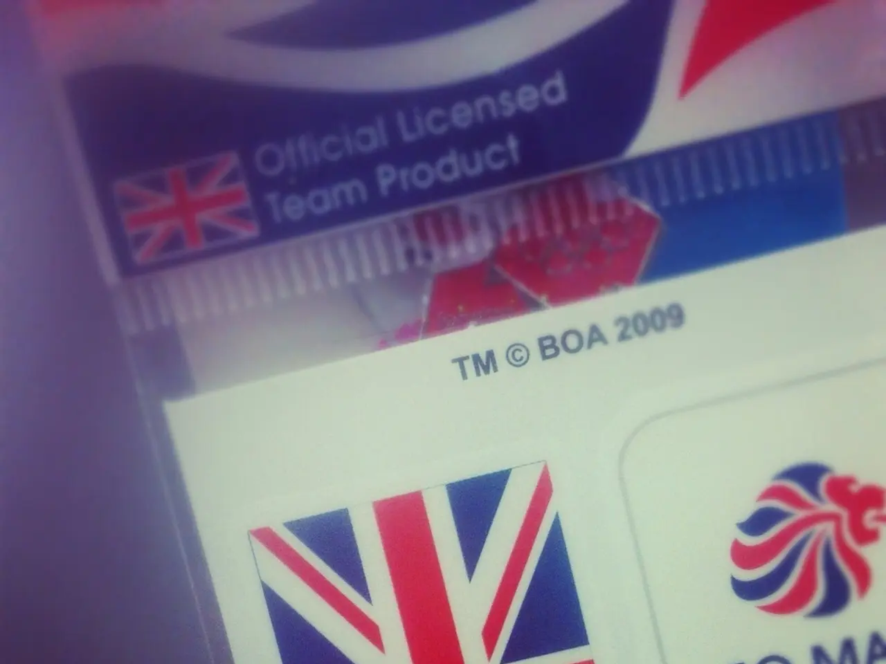 Benefits and Drawbacks of Holding Dual Nationality in the Year 2025