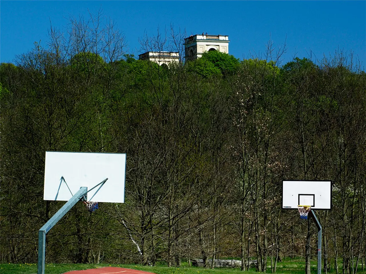 In this picture I can see there is a playground and there is grass around the playground. There are...