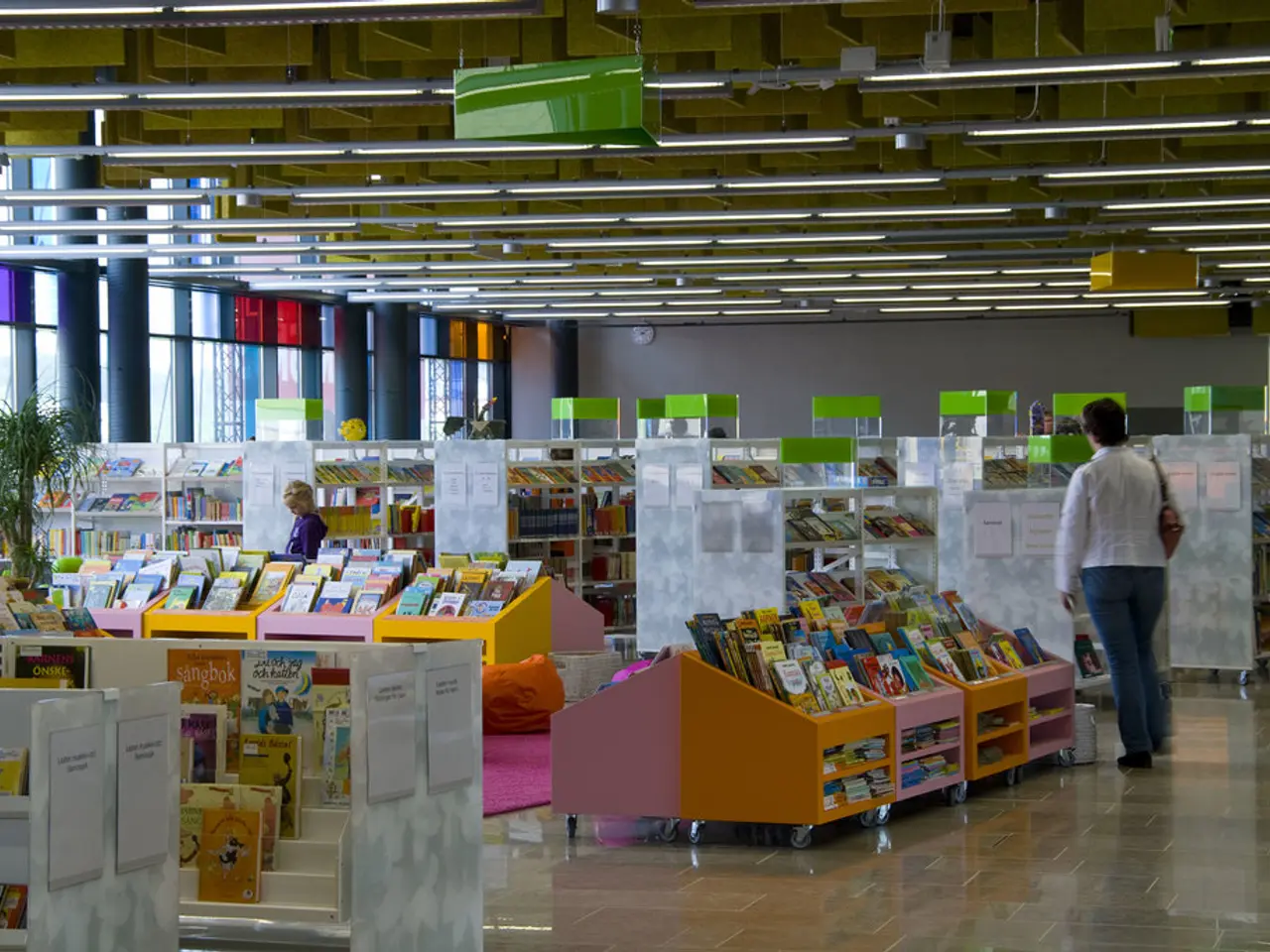 This picture looks like a library, I can see few books on the shelves and I can see a plant and few...