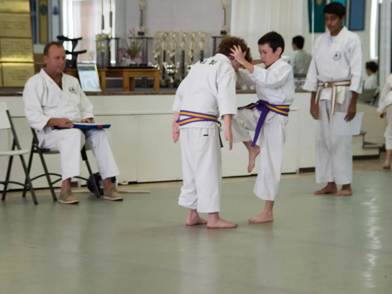 Here we can see a couple of children practicing kung fu and at the left side we can see their...