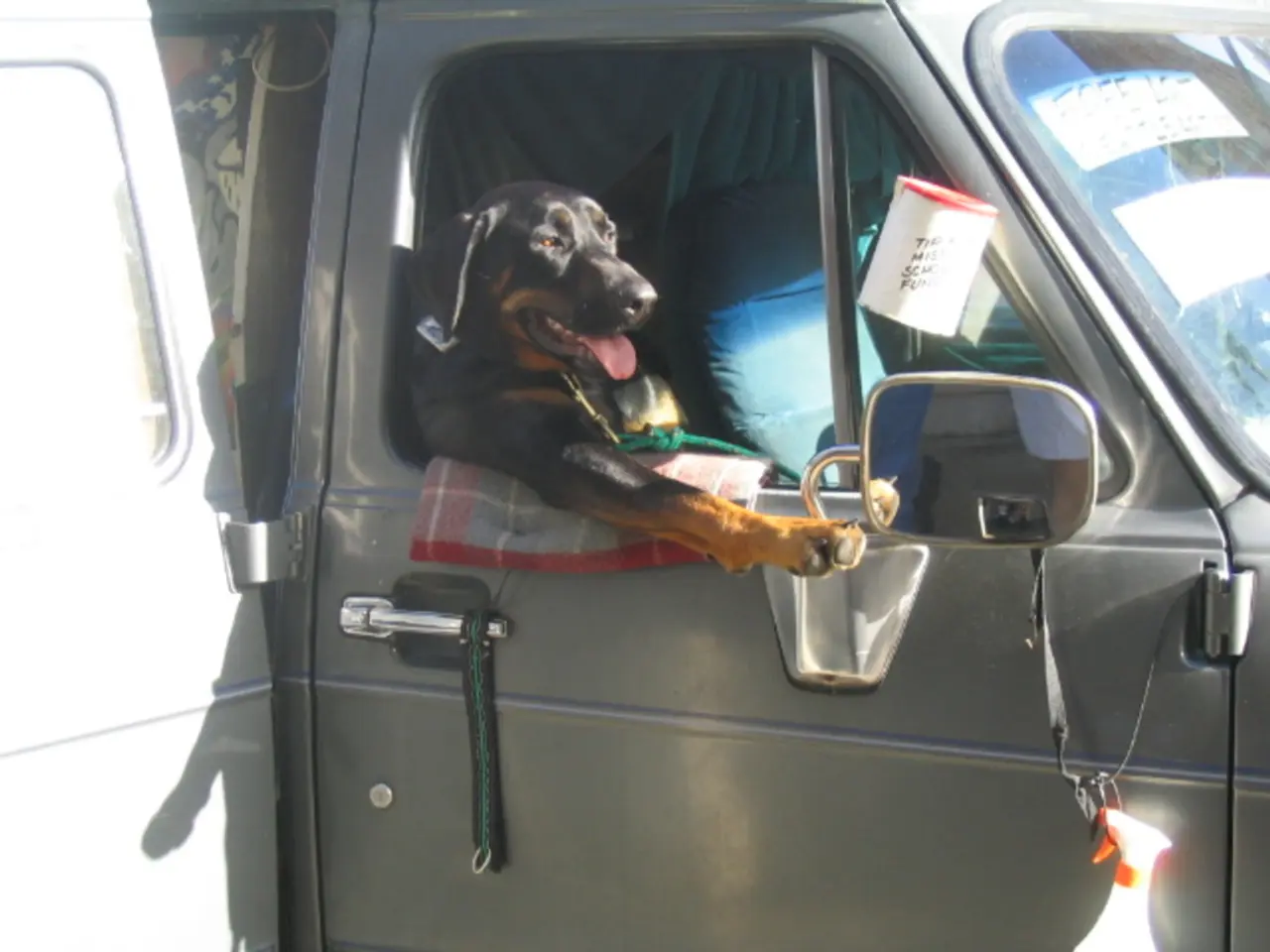 There is a black dog sitting in a car and keeping her head outside from the window.