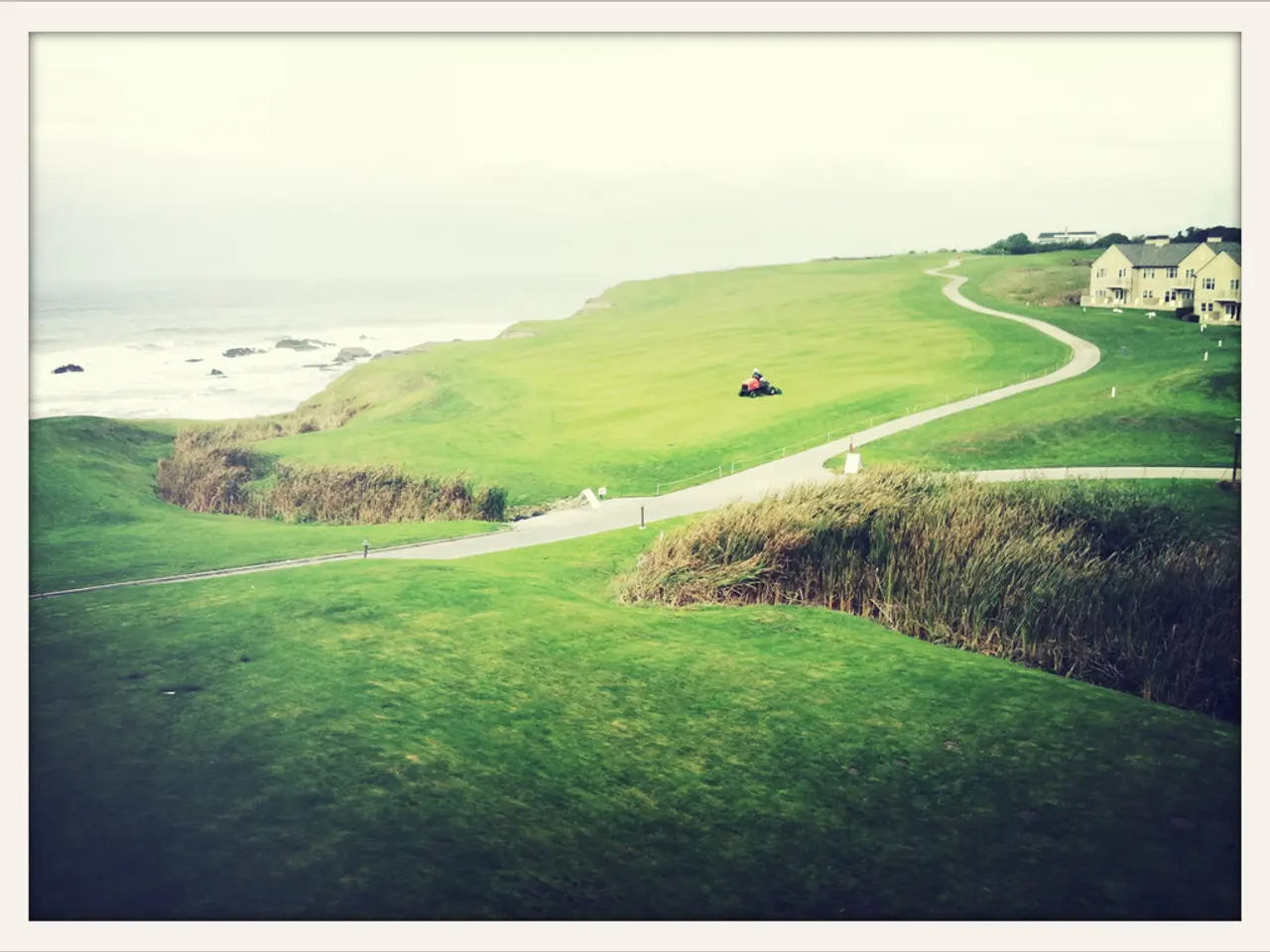 This is a picture taken along the countryside. In the foreground of the picture there are weed and...