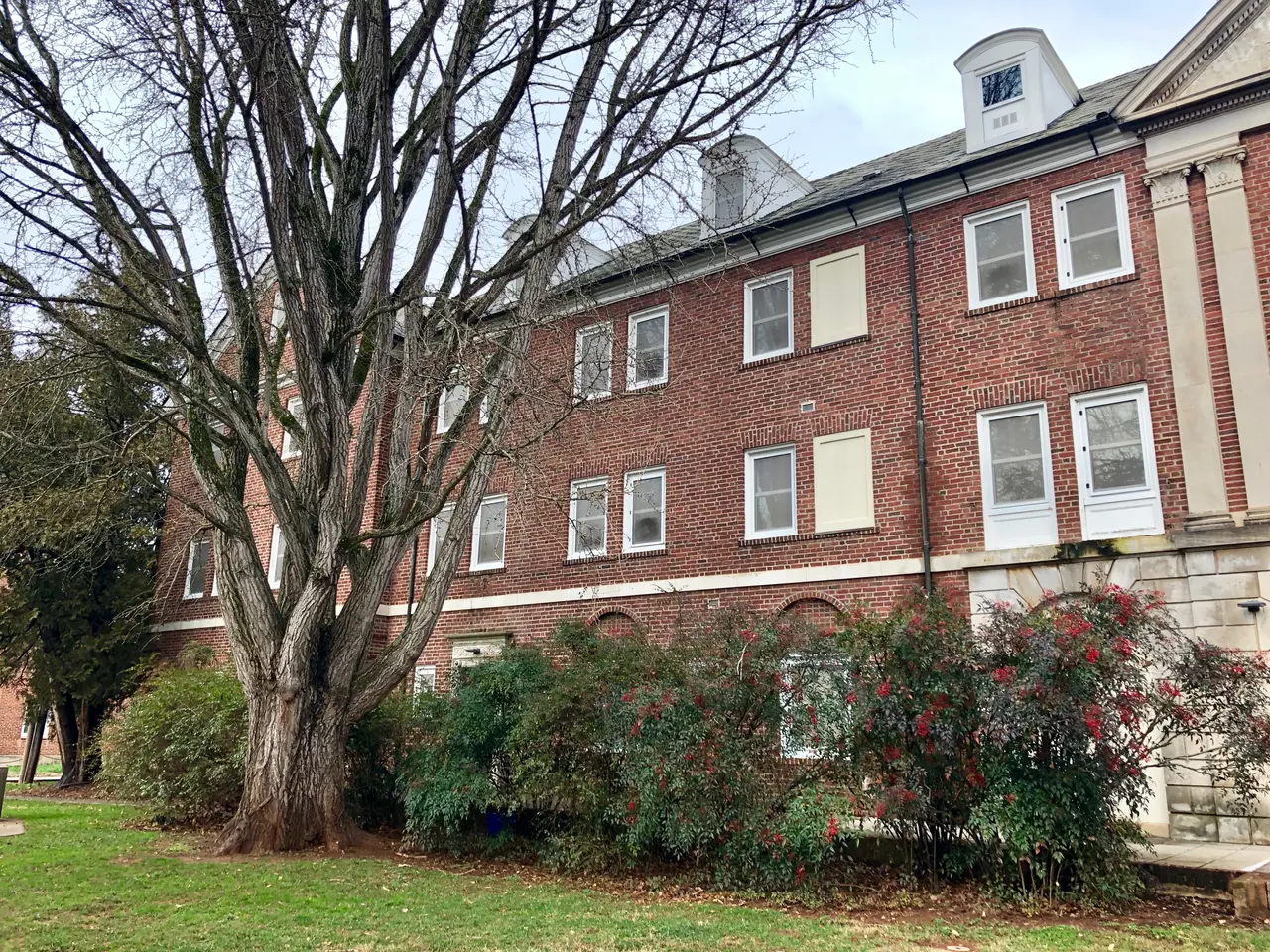 The image shows a large brick building with a tree in front of it, surrounded by lush green grass,...