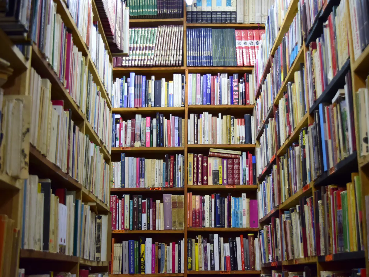 The image shows a bookshelf filled with lots of books in a library. The books are neatly arranged...
