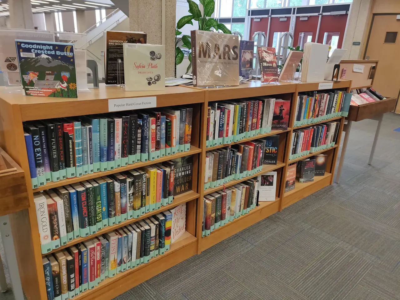 The image shows a library filled with lots of books on the racks, a plant in the middle, a door on...