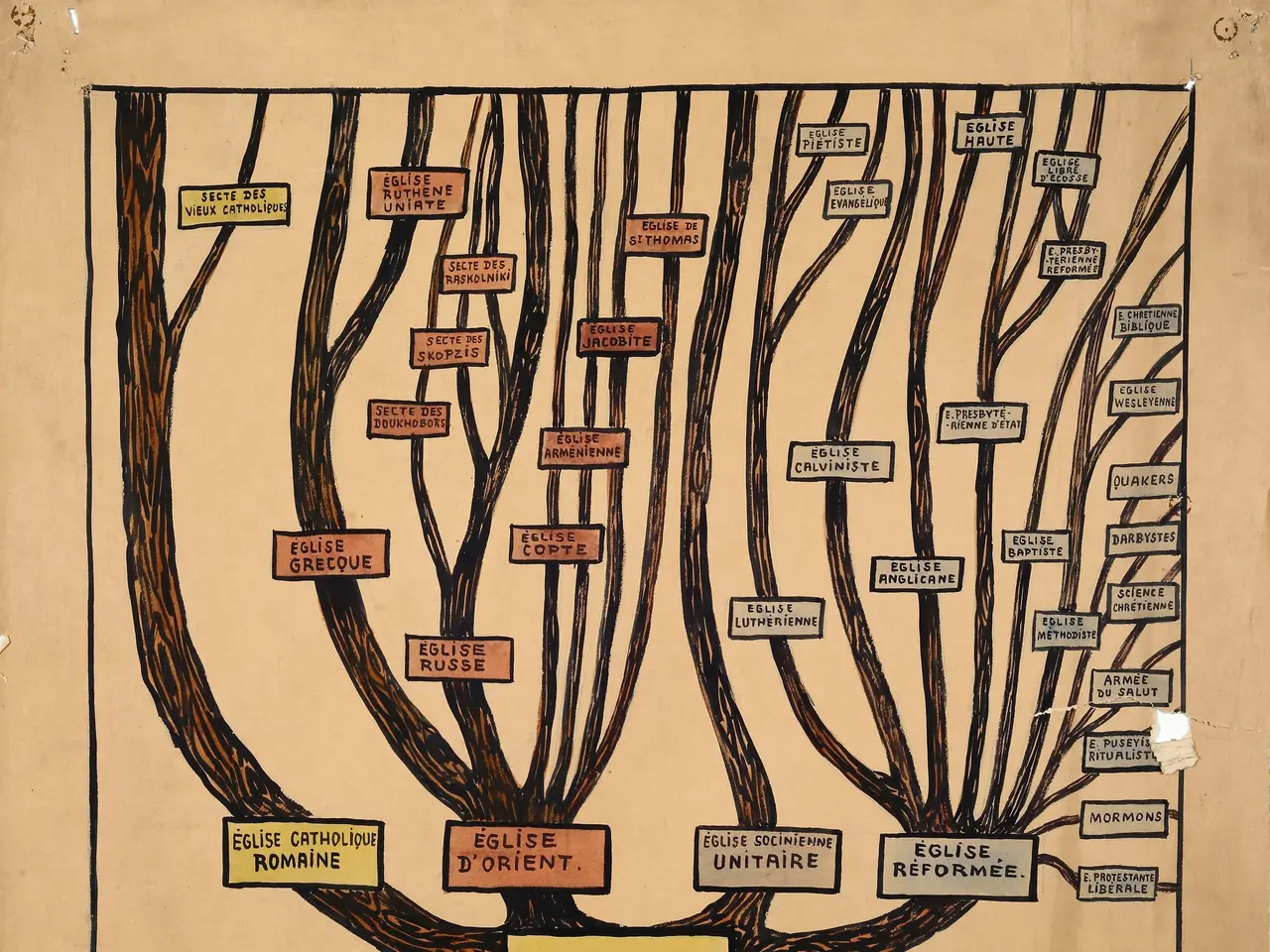 The image shows a drawing of a tree on a piece of paper with the words "Christianism" written on...