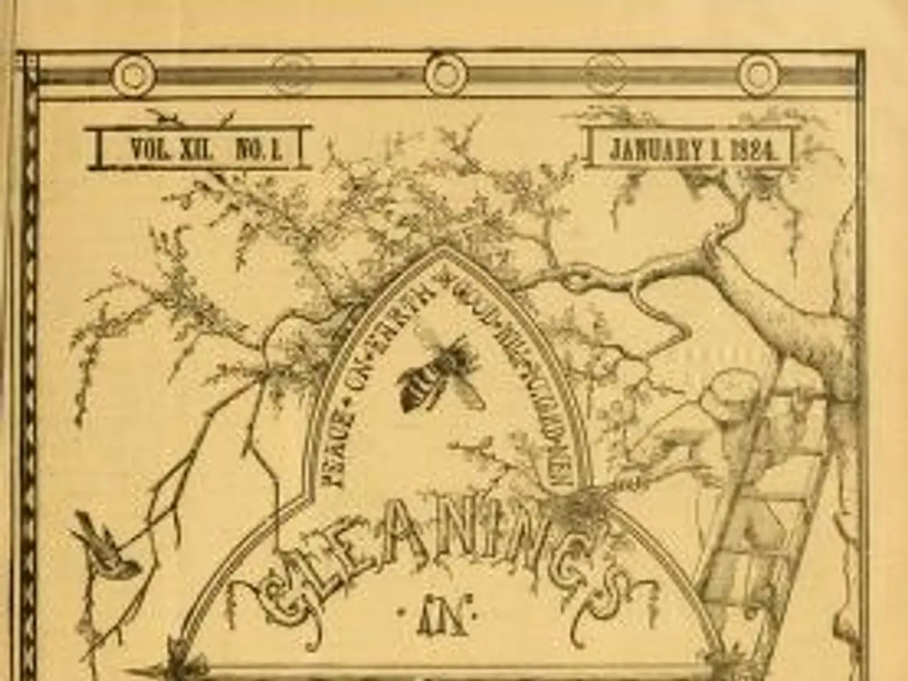 The image shows an old book with a drawing of a bee on it, surrounded by trees, a ladder, and other...