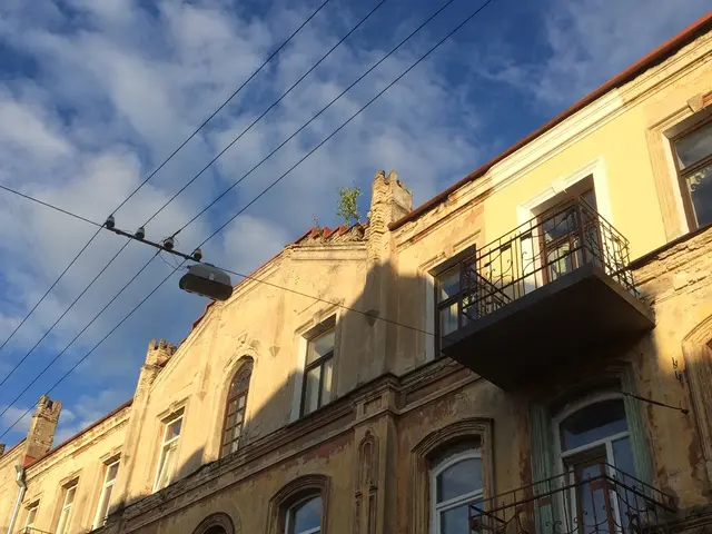 Deep Learning Algorithms: Focus on Convolutional Neural Networks (CNN)