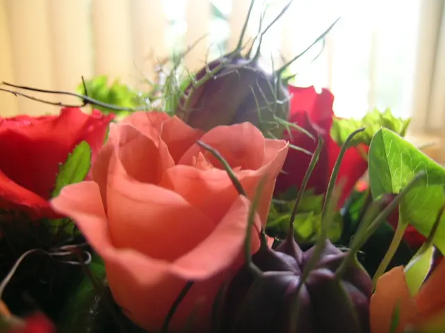 Exploring the Master's in Business Analytics Curriculum: An Insight