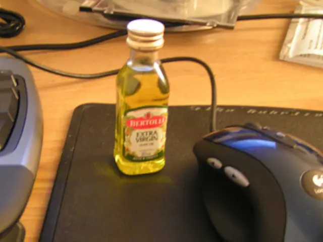 Enhancing Brain Flexibility: Strategies for Crafting a More Resilient and Adaptable Mind