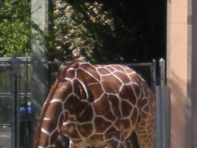 Job Opportunity: Zookeeper Training in Avian Haven Ohligs