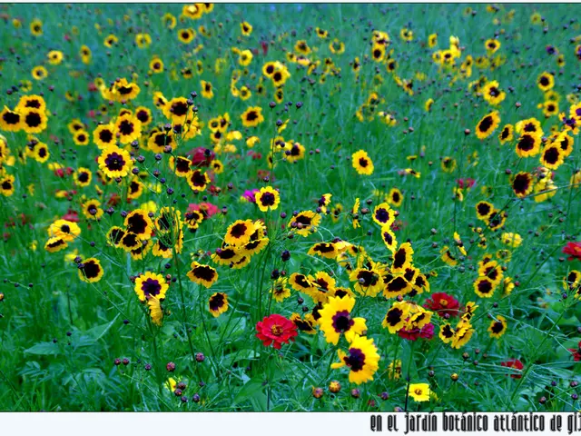 Improvement in the Quality of Life for Four Zodiac Signs Commences on July 4th