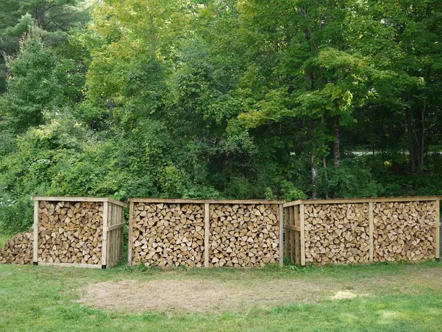 Somerset to unveil new nursery facility for public use