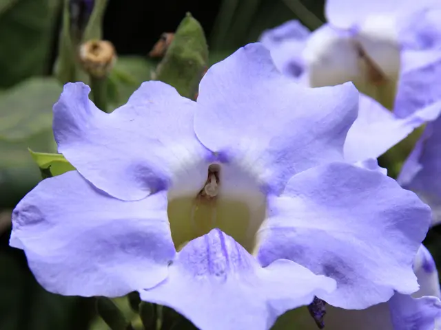 Exploring the Advantages of Pondering and Its Positive Impact on Cognitive Functioning in the Brain