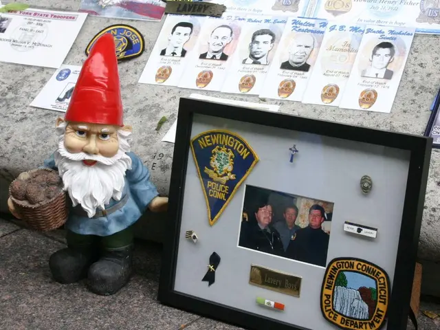 "2024: United in Compassion" or "2024: United for Compassionate Care"