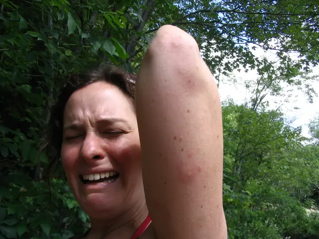 Strategies for Handling Job Rejection and Rebounding Swiftly