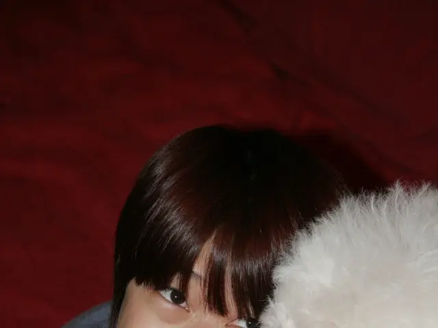 Relationship Anxious Attachment: Characteristics and Triggers (Identifying and Understanding Its...