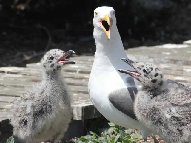 Top 12 Seasonal Nature Activities for Year-Round Education, Inspiring Awe Every Day