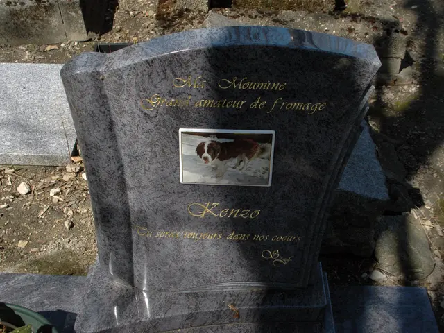 Care Guide for Dementia Patients