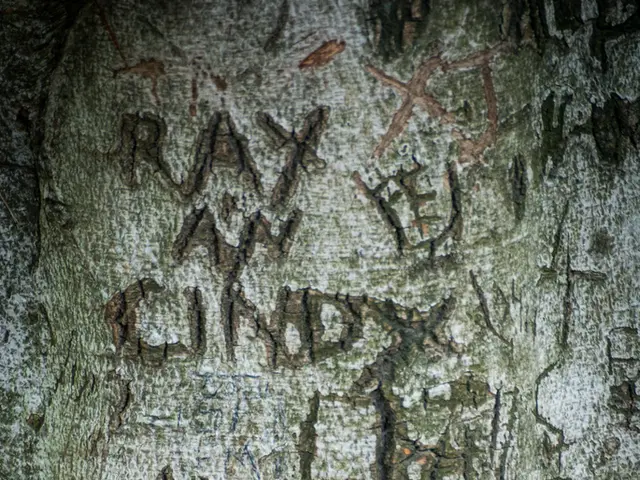 Discussion with Mohammad Marandi on Iran, Venezuela, and a Multilateral Global Order