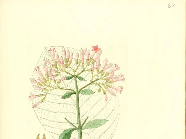 STEM Problem-Solving Activities for Springtime