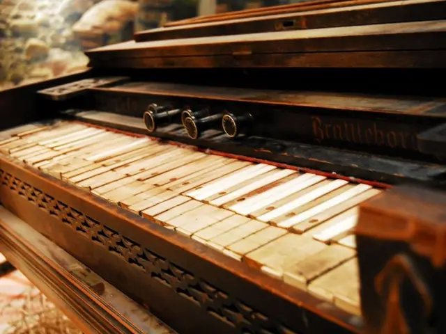 Candidates Seeking Mastery in Piano Technology