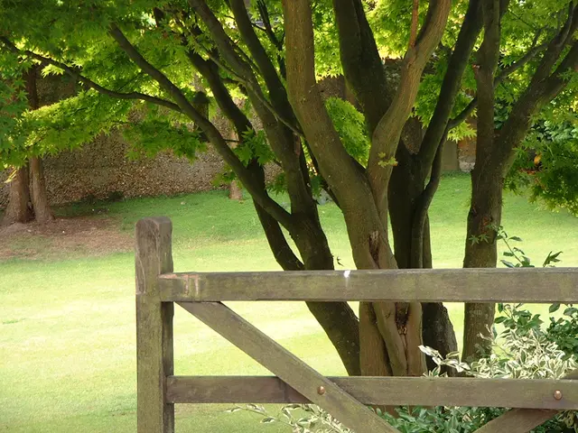 A guide on fostering an eco-friendly work environment