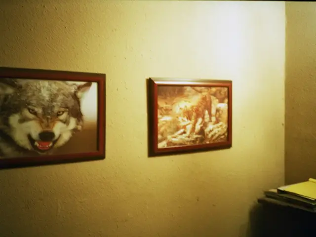 Semester Planning Showdown: TigerJunction vs ReCal - A tour of their strategies for shaping up the...