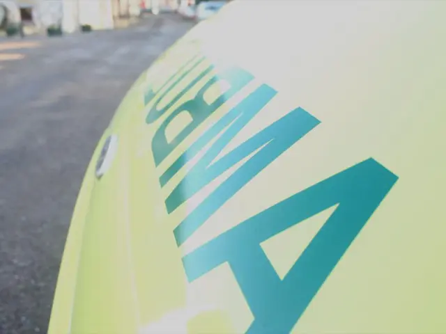 Strengthened partnership in hydrogen training culminates with a visit to German counterpart in...