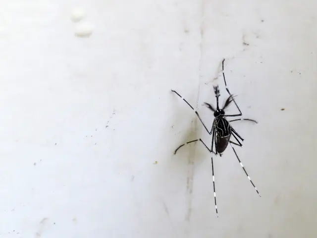 Stay alert, Mississauga residents! Mosquitoes carrying the West Nile virus have been identified...