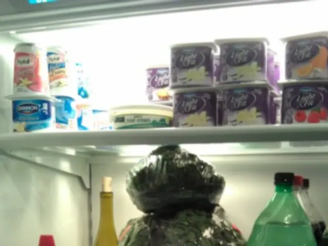 Preserving Historic Seed Varieties for the Year 2125