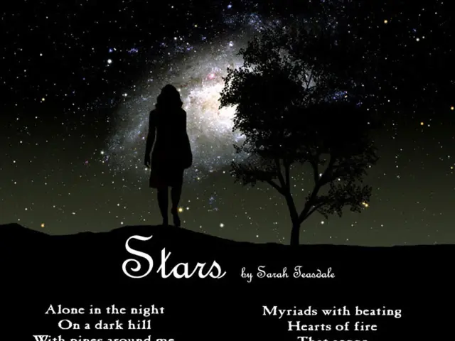 "Inspiring Phrases for Twin Flames: Words to Guide You Towards Your Other Self"