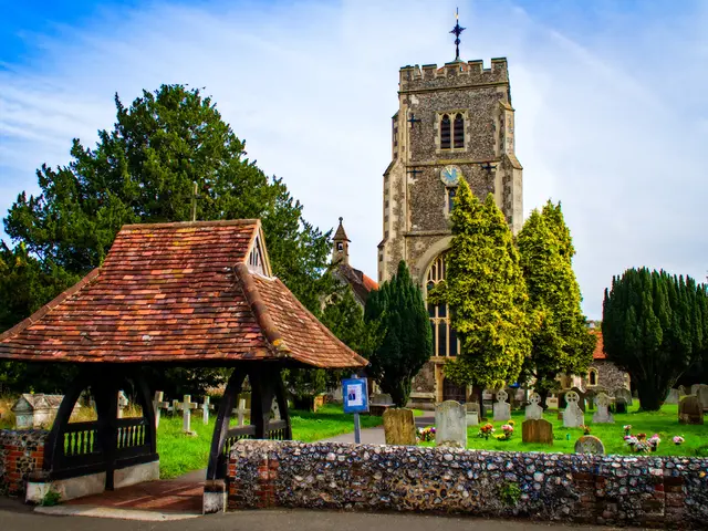 Focusing on the needs and well-being of New York's elderly population