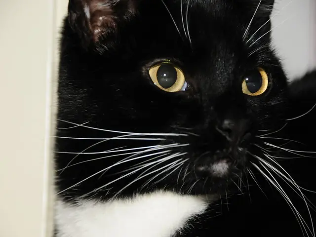 Symbol of the assault: Representing the act of violence