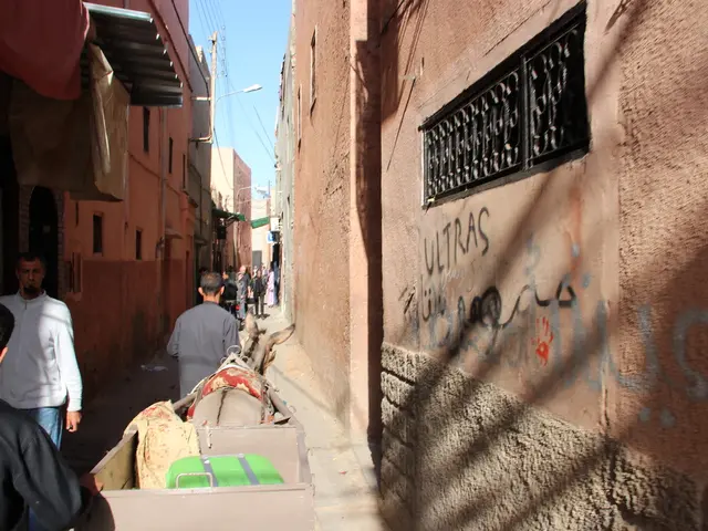 Starving Palestinians in Gaza - Learn How to Offer Aid