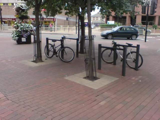 Transformation: Petting Zoo transforms into "Post-School Learning Hub"