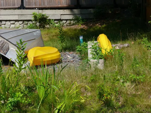 Unincorporated Territory: A Republic Devoid of Sovereignty