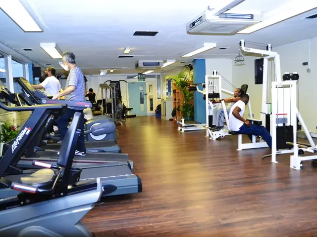 Career Opportunities for Exercise Science Graduates: Exploring Professional Routes