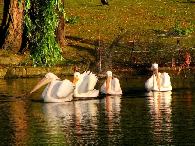 Experience nature's charm at Lackford Lakes, with nightingales and various other species making up...