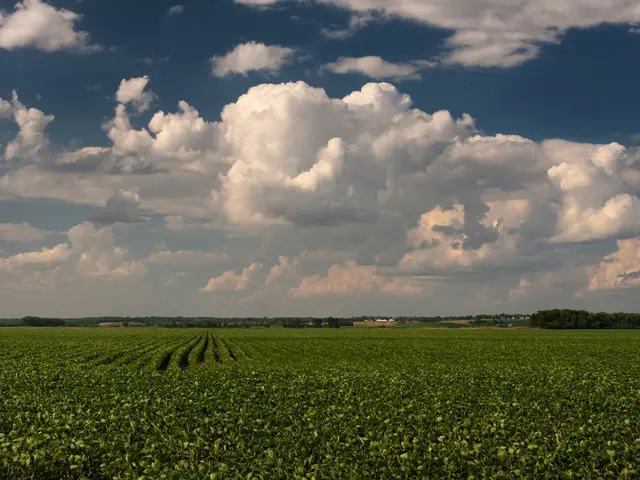 The Impact of Environmental Consciousness on Contemporary Cinema Production