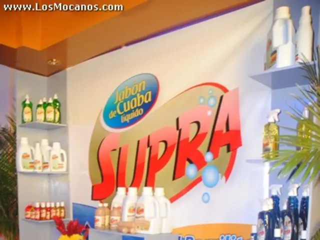 The Importance of Brand Voice in Achieving Business Success